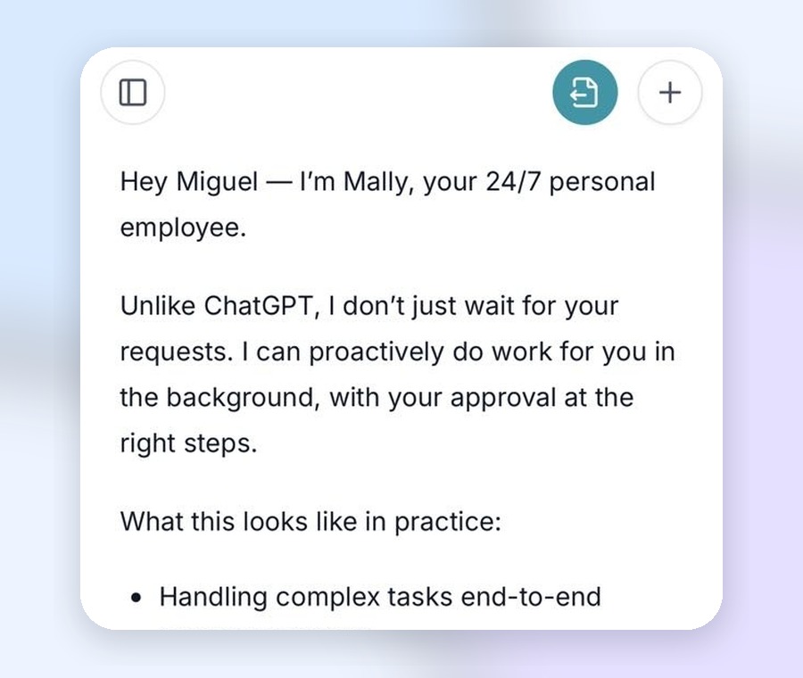 Mally AI employee project preview