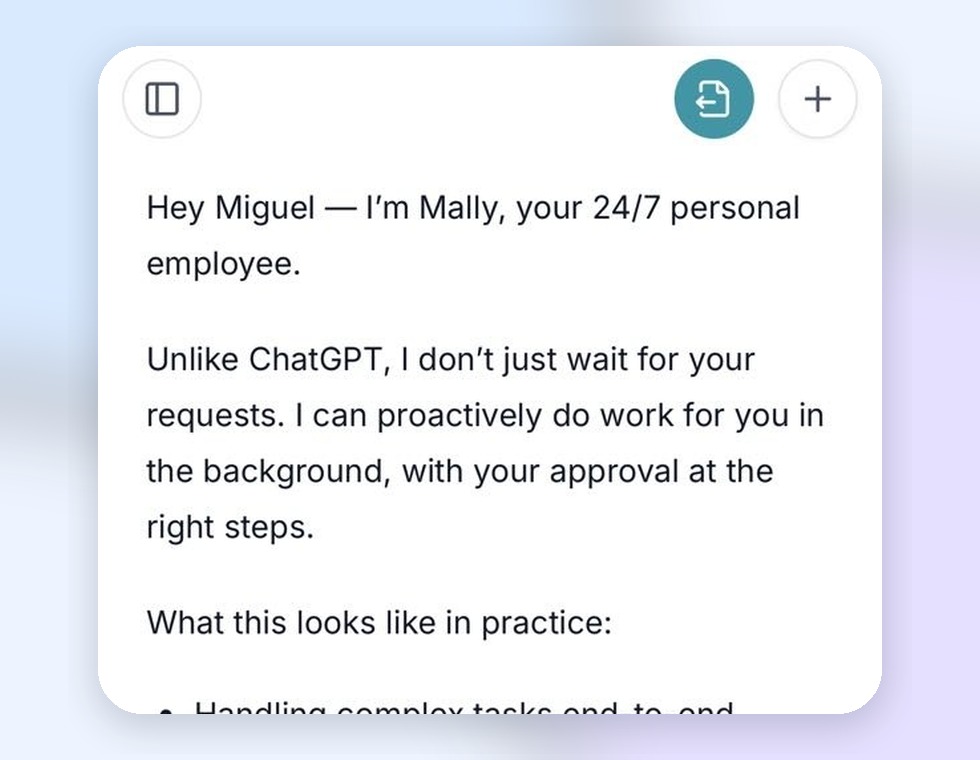 Mally AI employee project preview